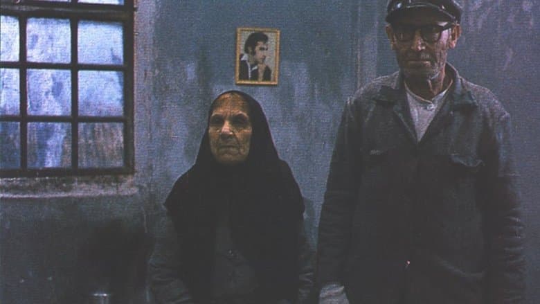 /tcSu8lmyv2JUKO2TZSQyRYTweTf.jpg
