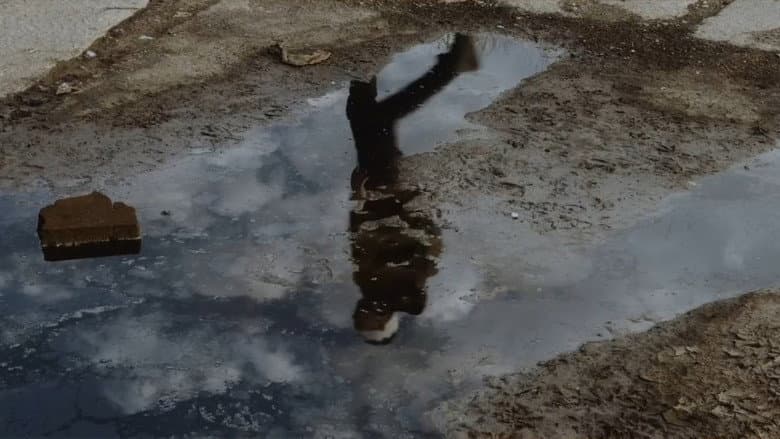 /ujhfJlGLp0FKZqbGRedrm0htI44.jpg