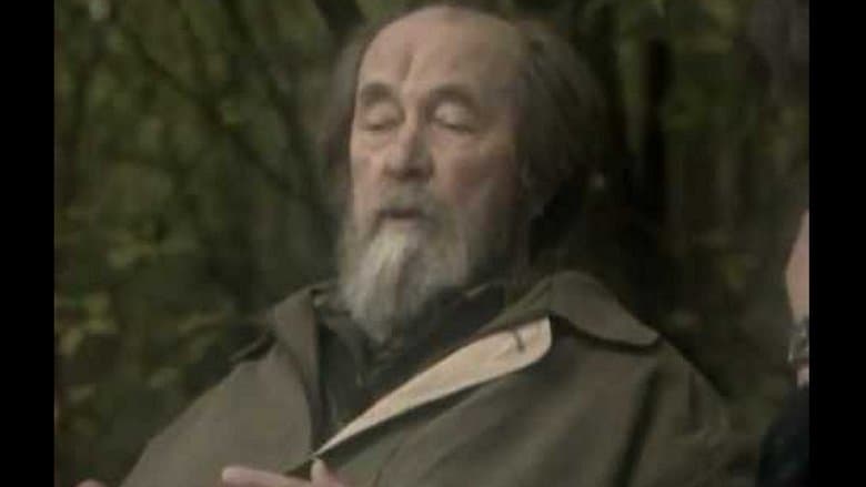 /uw5B3sulkhevWjL54NNK9PX4XfB.jpg