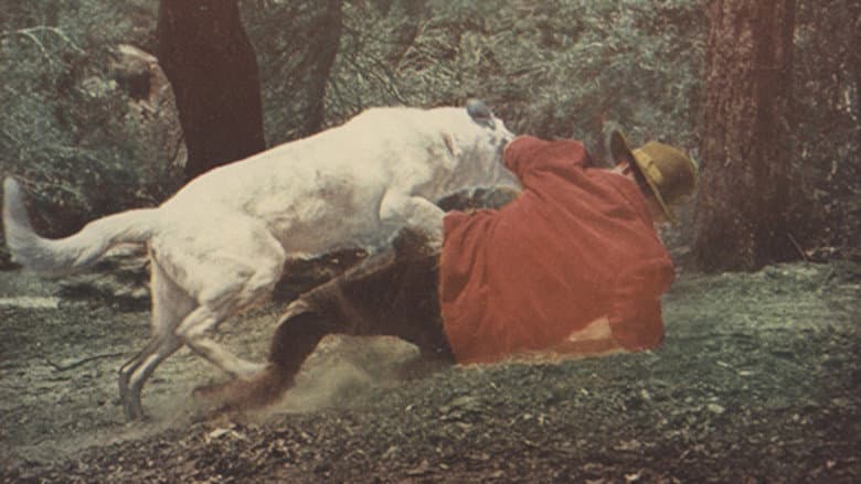 /uycHGHUULNX5eUmaWSImodjMRGZ.jpg