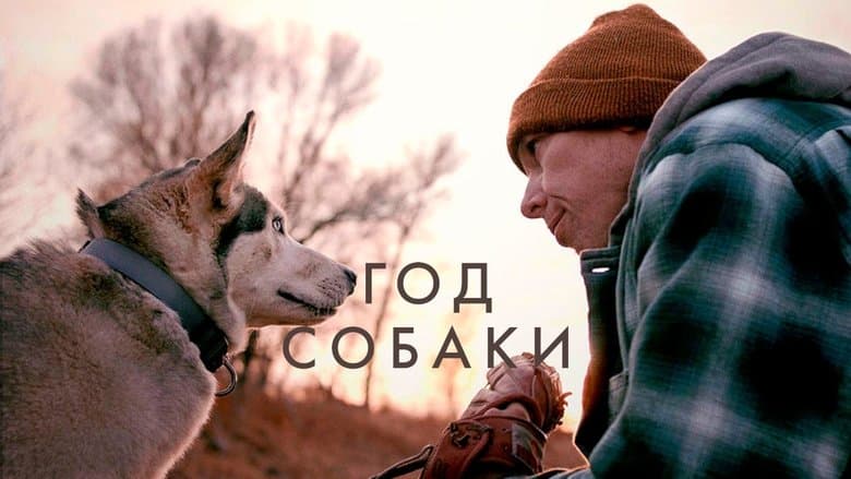 /v8L52XaRrli6LYBjPsK0ZKbhwtT.jpg