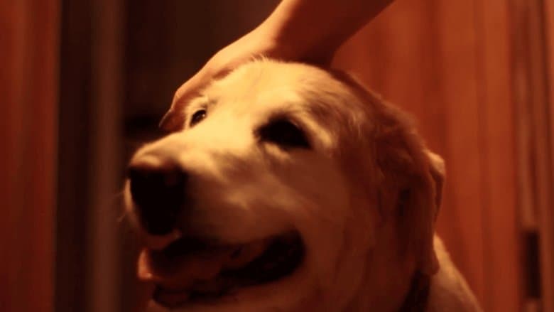 /vPova2anlK5UCUsaWvbx6R6W1Ym.jpg