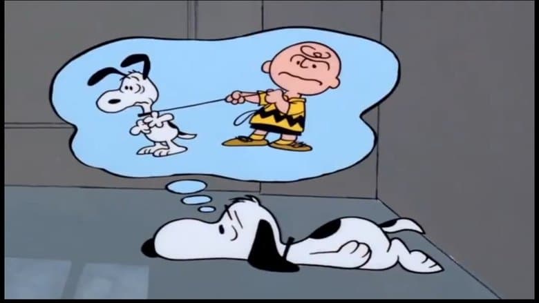 /vRnlGq9mJQgerZz1R4jMgnR4ABc.jpg