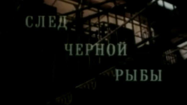 /vSIboCLt8eY3T5qaZBBQSHr5SNj.jpg