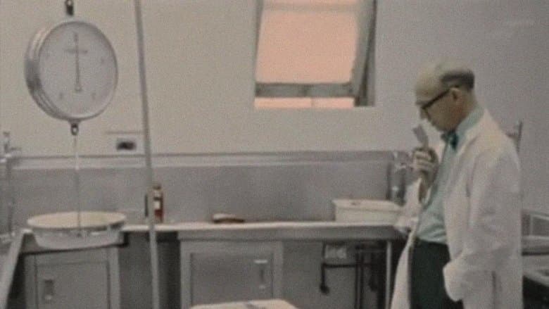 /vUpMYqxo1OkYZmTrkS6GvQChzZC.jpg