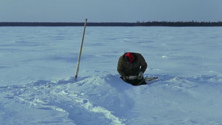 /vfooigXQwWhsVZoH7RvlmZ6X5ja.jpg