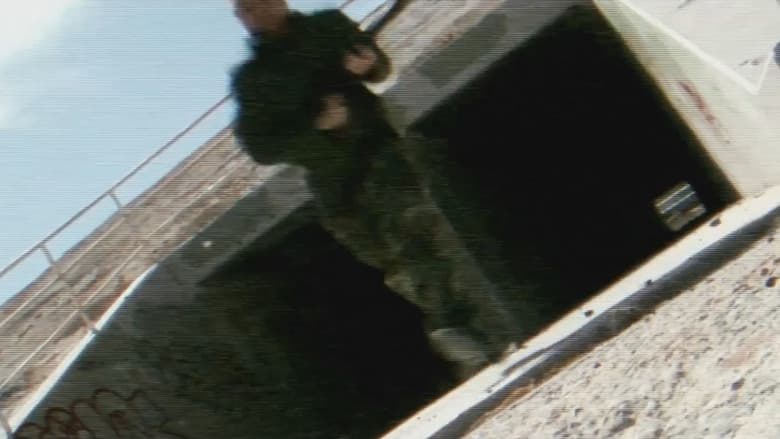 /vy6S2tjXei83d0JFfHqAbSCQsx8.jpg