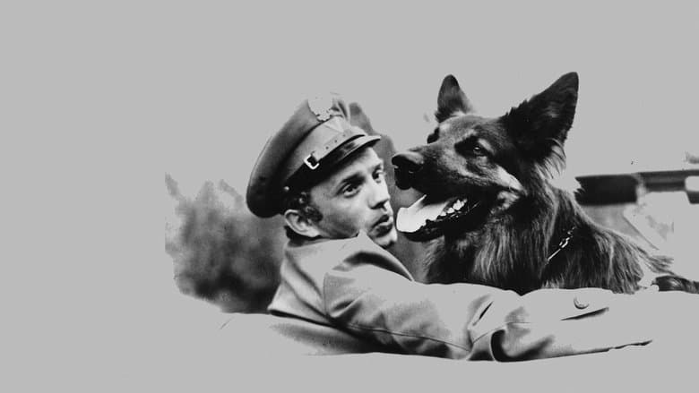 /w2MBBe1gX7ZasaK4wkSACFOsKS1.jpg