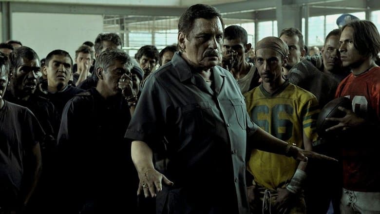 /wVuXWuwn5JG7SkOe0SiH56q5oBv.jpg