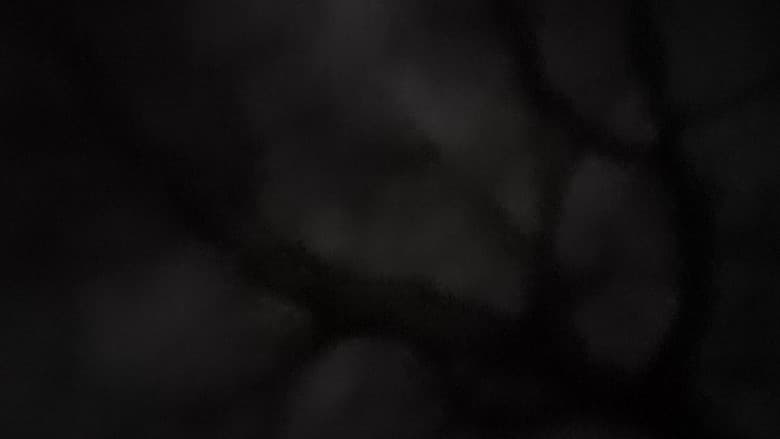/wcQQQ8FY1hdOGEQg26NrQbr2aqu.jpg