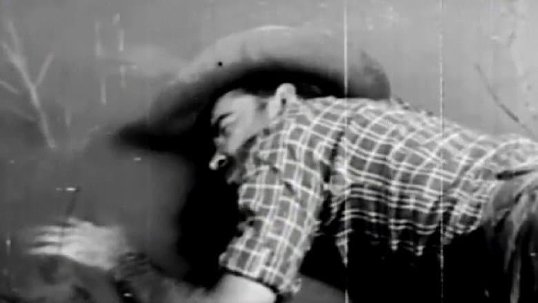 /wvd6rV05QRrn07EndYLb5KuYDDG.jpg