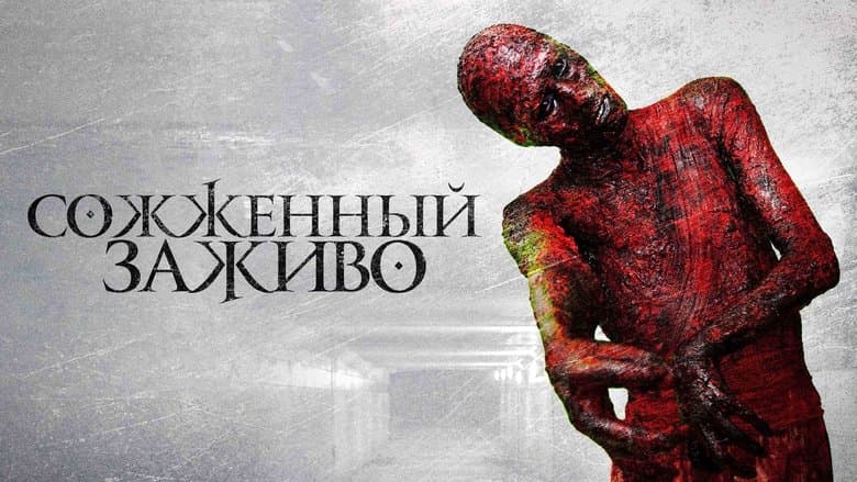 /xJbh8BnAhMYdkUwogLvA6moVNUn.jpg