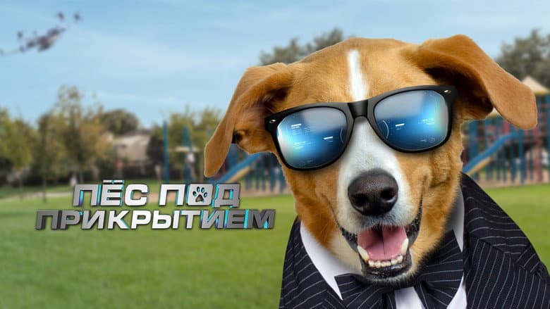 /xSZSJHz53AFAfhb4CEK1QG7I6Ho.jpg