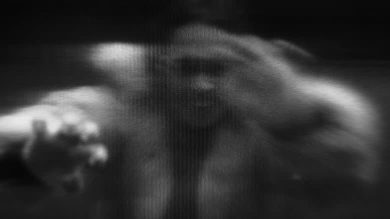 /xVTfXmTHqFNFpJ9DUfAX0SZ2GFp.jpg