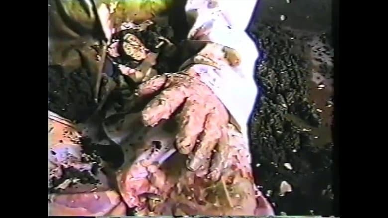 /xYOasDn95EbdKYM1bCQpxsIJUCj.jpg