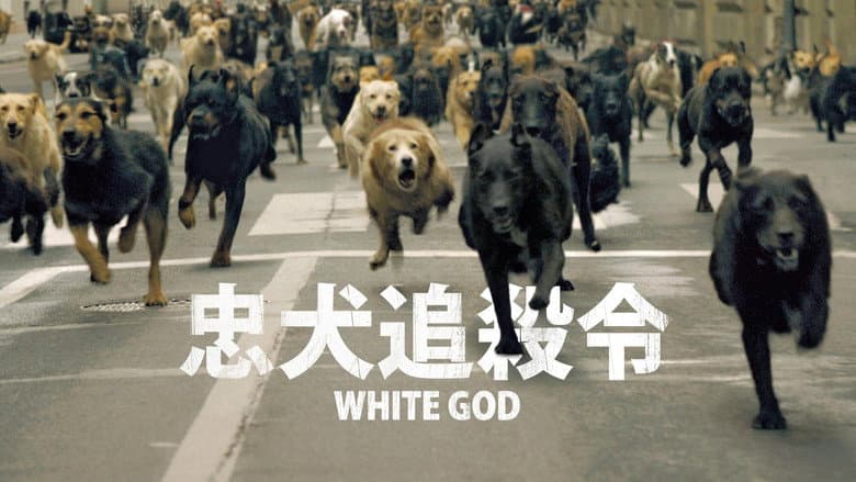 /xabczE39gZ1cFIGVvdwzqzrvhGd.jpg