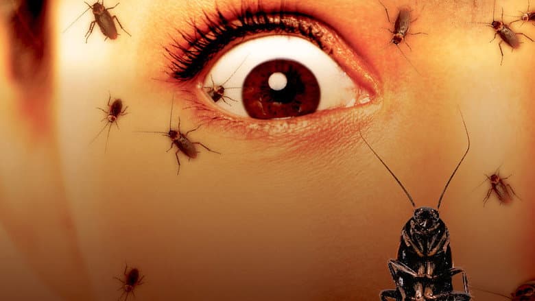 /yBbkKbAd218jJcfnYxnjqKZEAmP.jpg