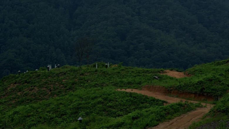 /yHubRxDl4ZeKFMFItcsYlbKfOjw.jpg