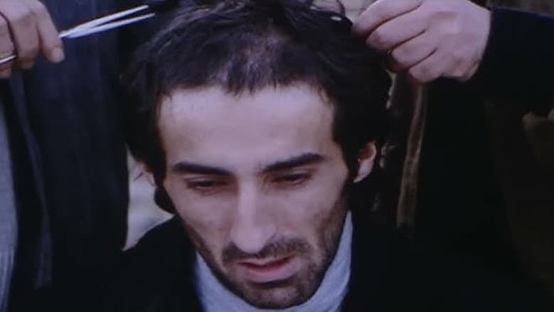 /yP4mo4wgPbKq2qwE6hCmlzICUTU.jpg