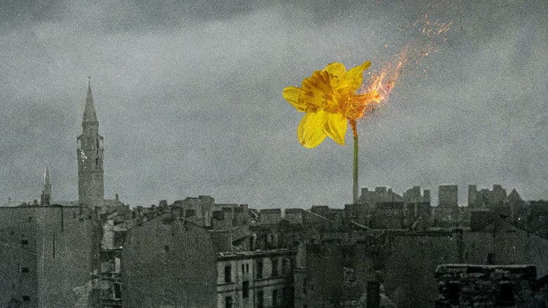 /yTaTgOkANNCN5AVVBxNKg6KN4q7.jpg