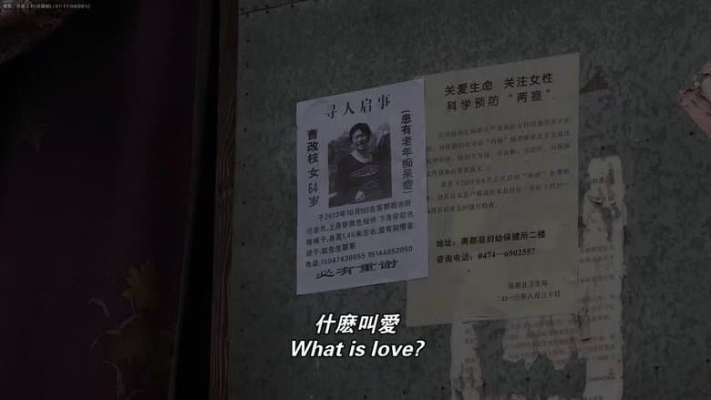 /yuZXL8Bz8p1K7CKhpjWhkWgxWPE.jpg