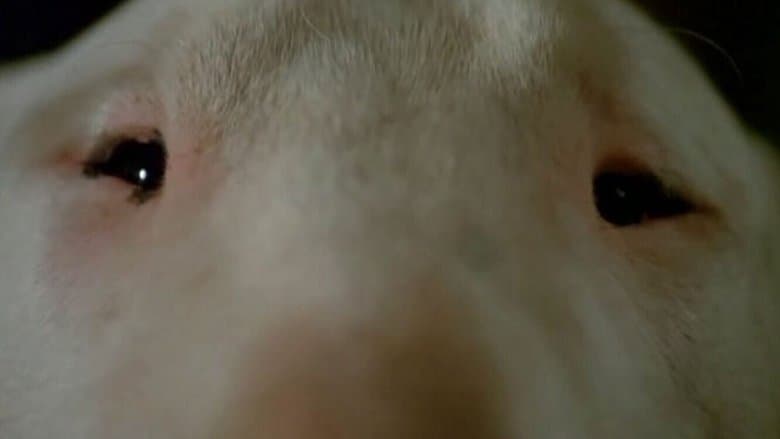 /yv7uTlHwTDm9qNqP4wIfs2CXFRJ.jpg