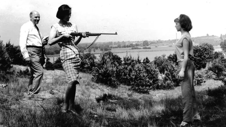 /zANFc3jh1CzAzdpTattbQ8pDngq.jpg