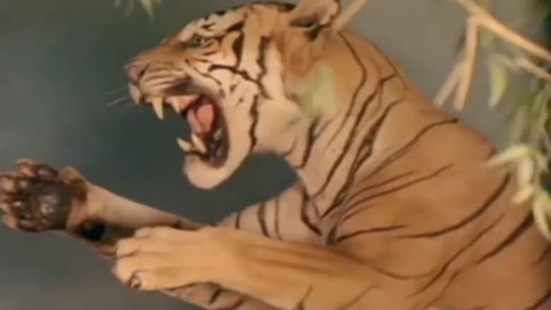 /zxdk6Ia6AyRRLfYB7pKLTbSpI5Q.jpg